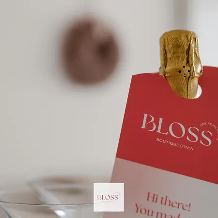 Cocoon By Bloss Ostende