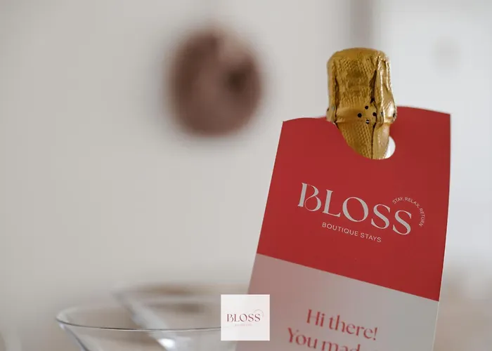 Cocoon By Bloss Ostende