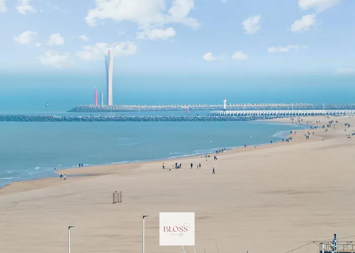 Cocoon By Bloss * Ostende